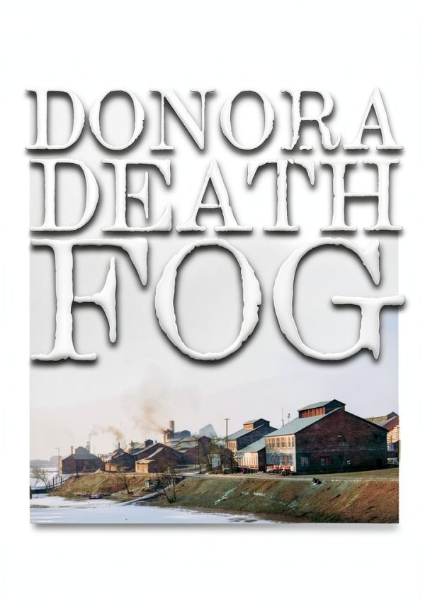 University of Pittsburgh Press Environmental Health Kindle eBook-0
